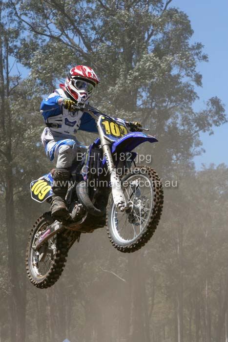 445x677 pixels (62K)